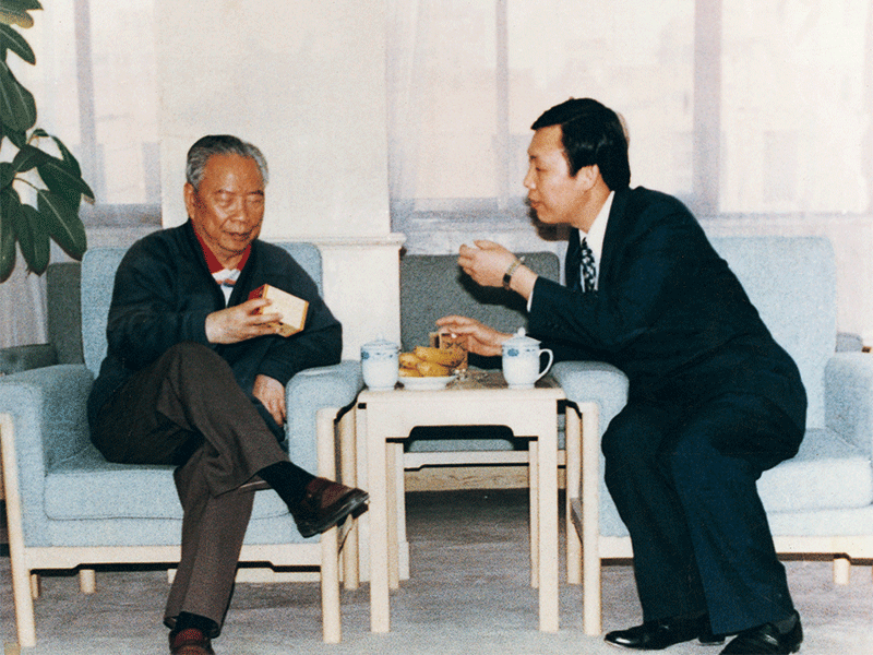 前中共中央政治局委员、全国人大常务委员会副委员长彭冲